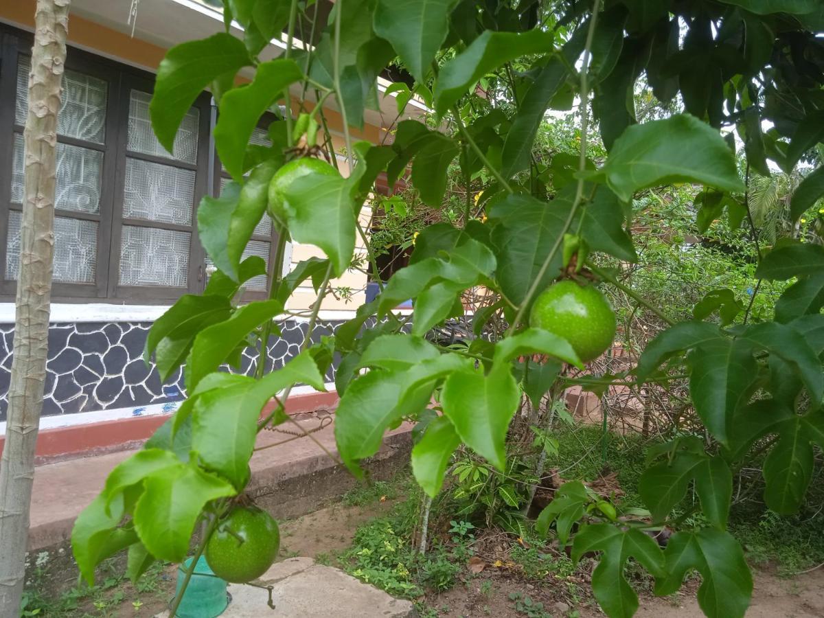 Sanaya Homestay Tangalle Exterior photo